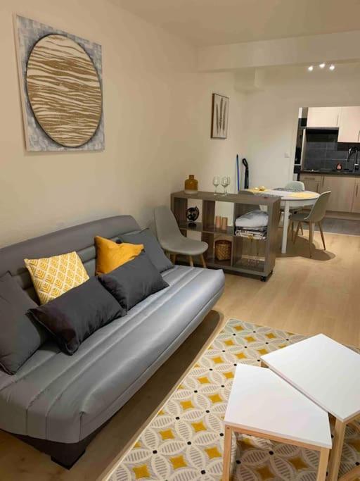 Aubenas : Beau Studio, Proche Du Chateau Ngoại thất bức ảnh